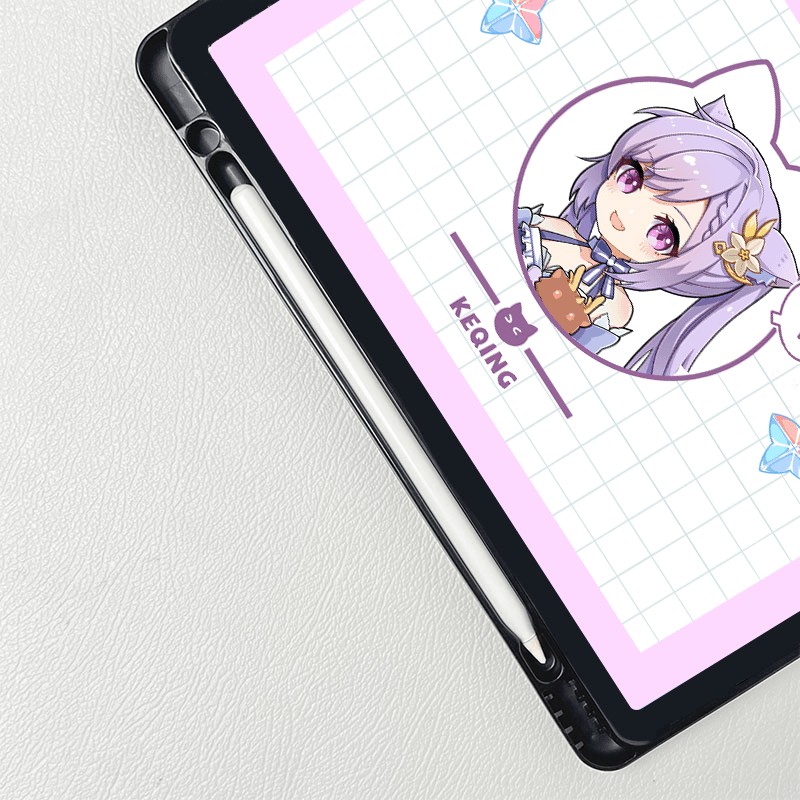 iPad case