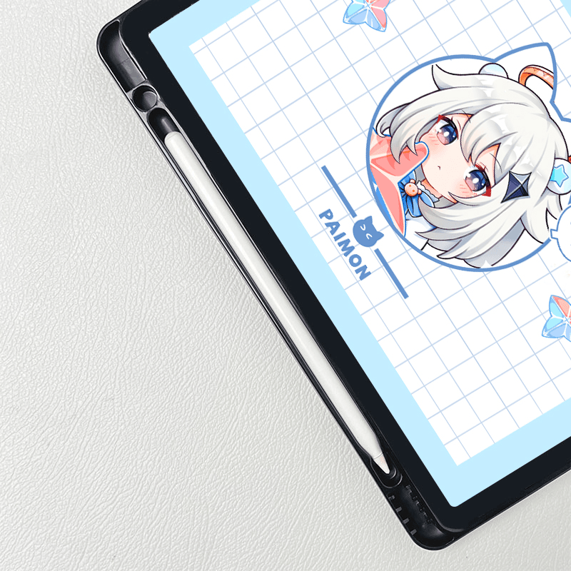 iPad case