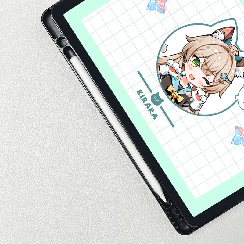 iPad case