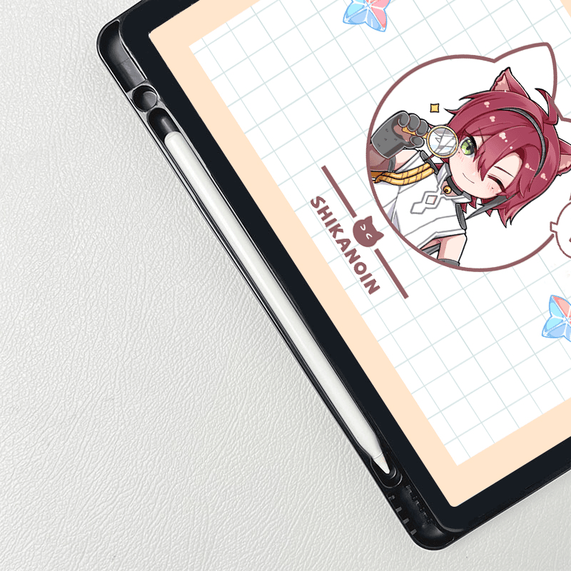 iPad case