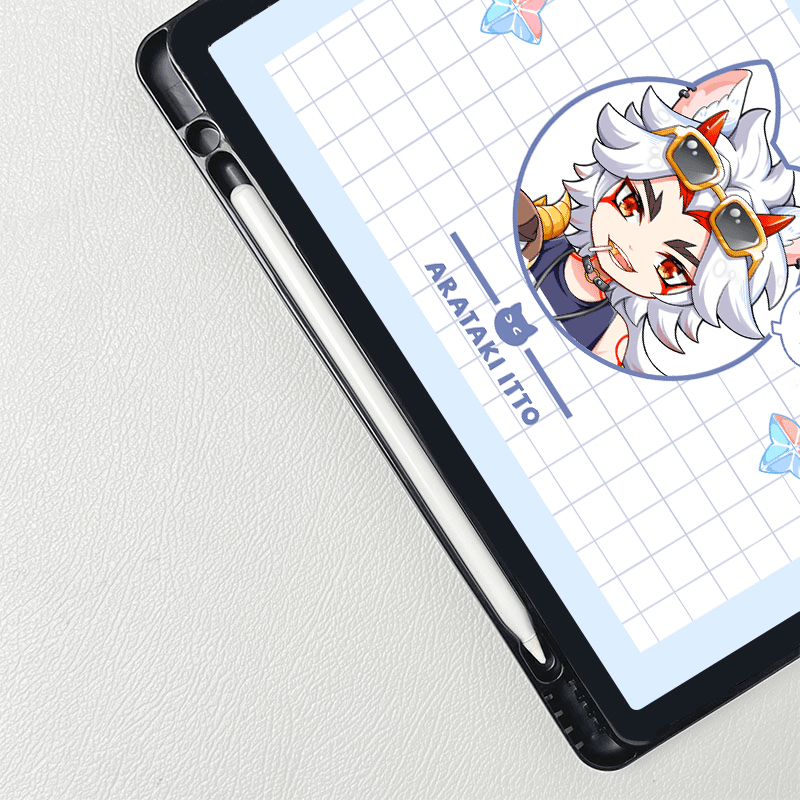 iPad case