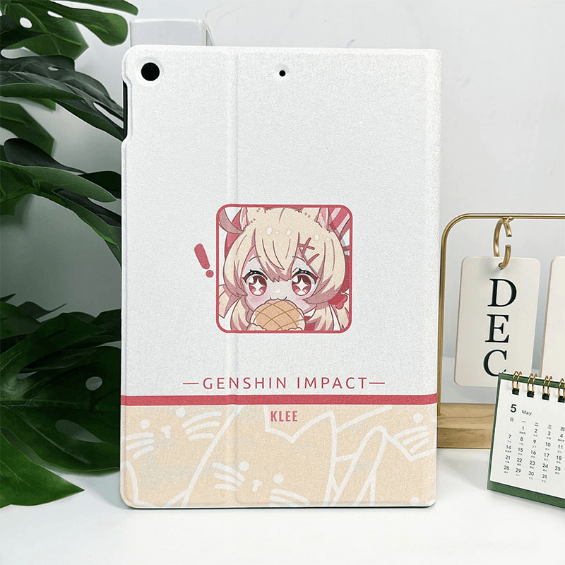 iPad case