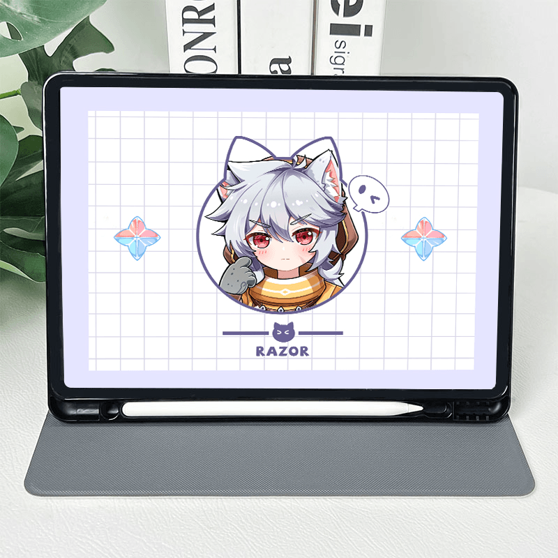 iPad case