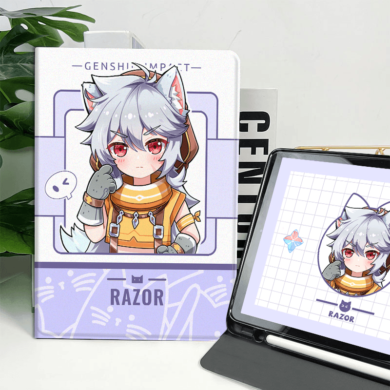 iPad case