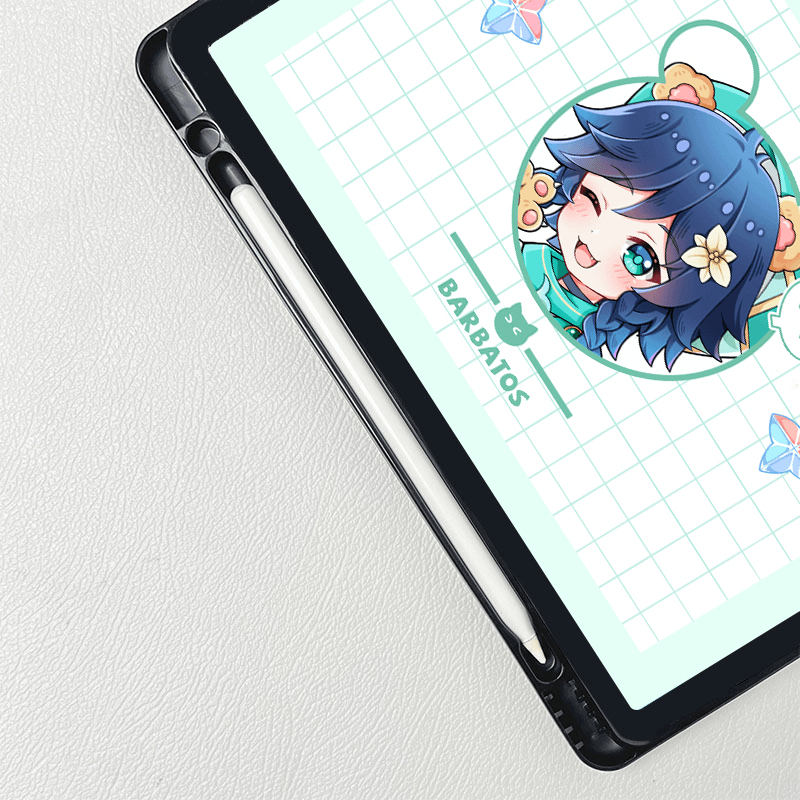 iPad case