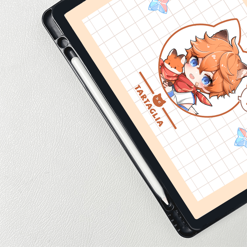 iPad case