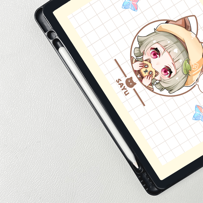 iPad case